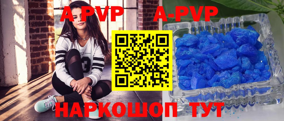 Alfa_PVP СК КРИС Петрозаводск