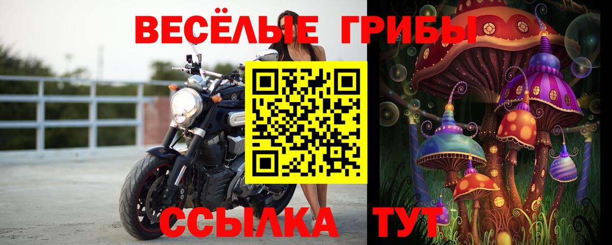 дарнет шоп  Вход с VPN  Петрозаводск  Галлюциногенные грибы MAGIC MUSHROOMS 